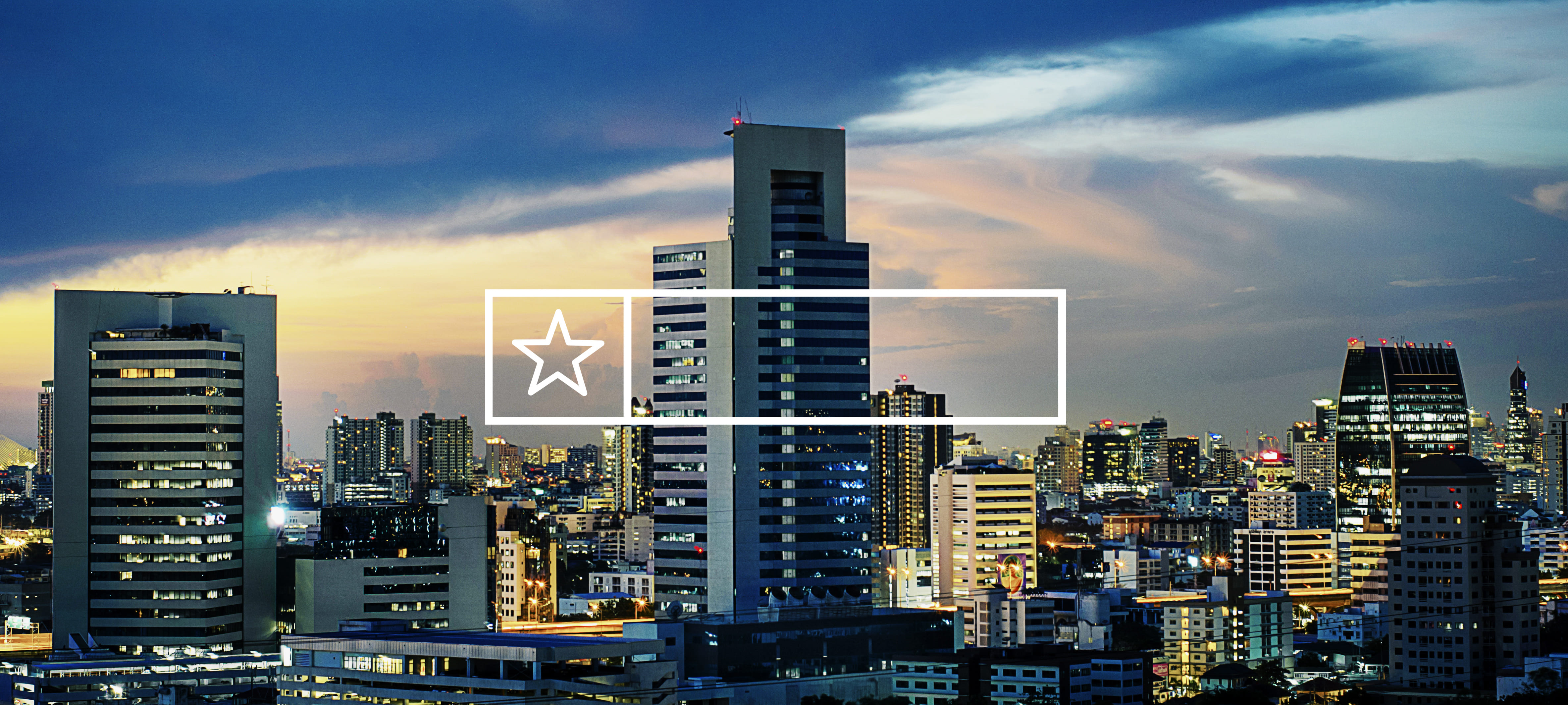 Professional Website